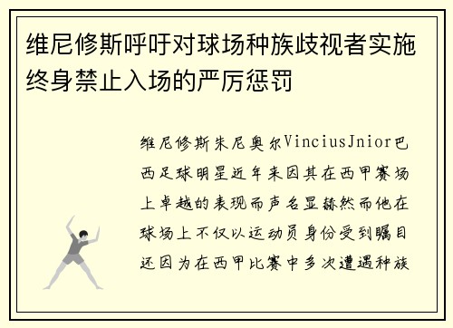维尼修斯呼吁对球场种族歧视者实施终身禁止入场的严厉惩罚